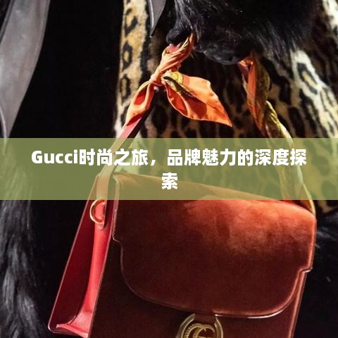 Gucci时尚之旅，品牌魅力的深度探索