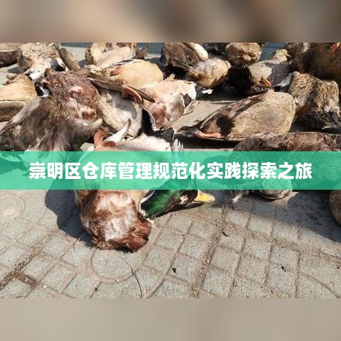 崇明区仓库管理规范化实践探索之旅