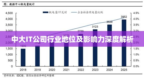 中大IT公司行业地位及影响力深度解析