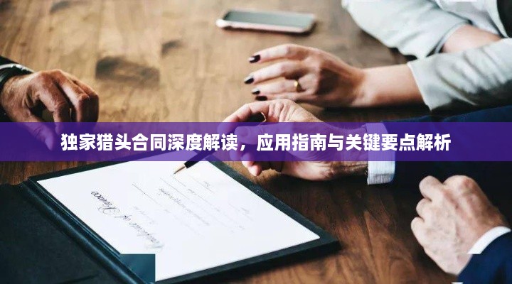 独家猎头合同深度解读，应用指南与关键要点解析