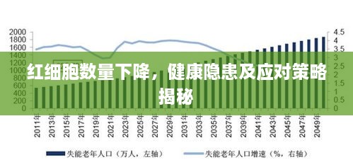 红细胞数量下降，健康隐患及应对策略揭秘