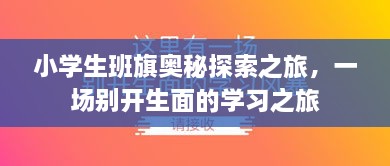 小学生班旗奥秘探索之旅，一场别开生面的学习之旅