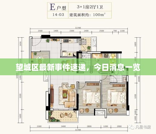 望城区最新事件速递，今日消息一览