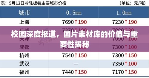 校园深度报道，图片素材库的价值与重要性揭秘