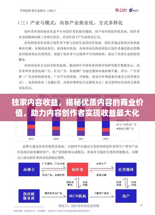 独家内容收益，揭秘优质内容的商业价值，助力内容创作者实现收益最大化