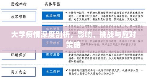 大学疫情深度剖析，影响、挑战与应对策略