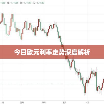 今日欧元利率走势深度解析