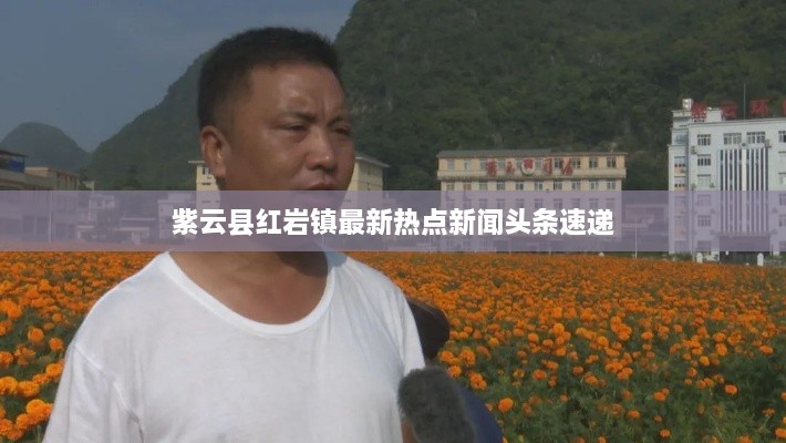 紫云县红岩镇最新热点新闻头条速递