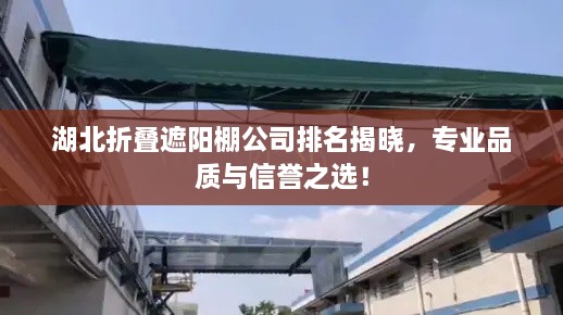 湖北折叠遮阳棚公司排名揭晓，专业品质与信誉之选！