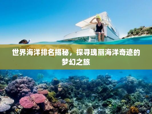 世界海洋排名揭秘，探寻瑰丽海洋奇迹的梦幻之旅