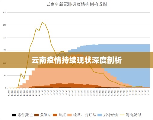 云南疫情持续现状深度剖析