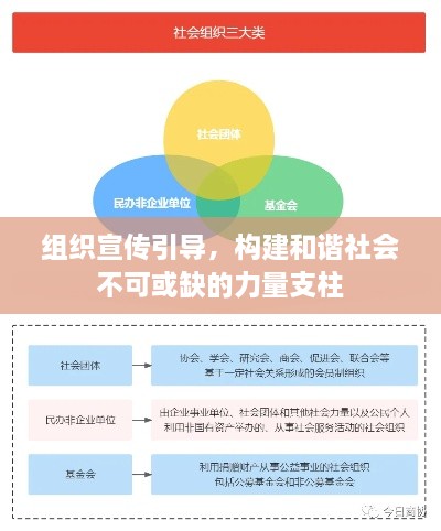 组织宣传引导，构建和谐社会不可或缺的力量支柱