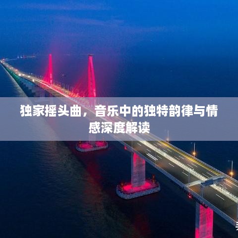 独家摇头曲，音乐中的独特韵律与情感深度解读