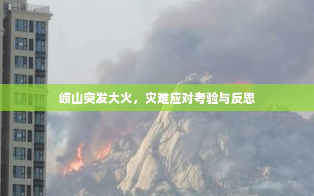 崂山突发大火，灾难应对考验与反思