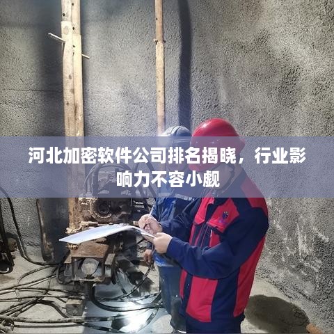 河北加密软件公司排名揭晓，行业影响力不容小觑