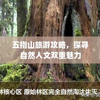 五指山旅游攻略，探寻自然人文双重魅力