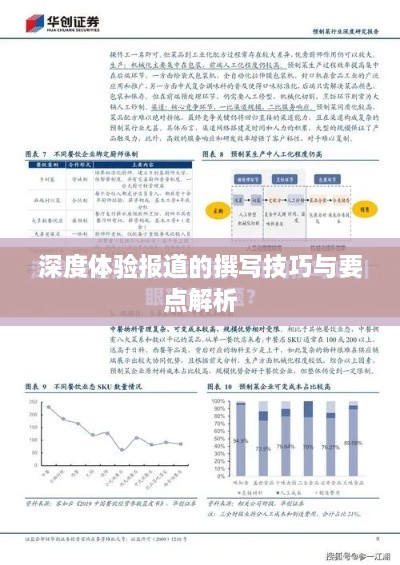 深度体验报道的撰写技巧与要点解析