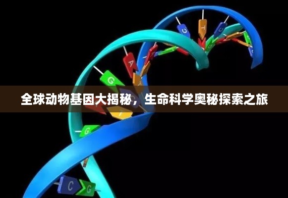 全球动物基因大揭秘，生命科学奥秘探索之旅