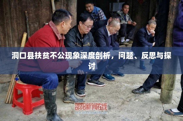 洞口县扶贫不公现象深度剖析，问题、反思与探讨