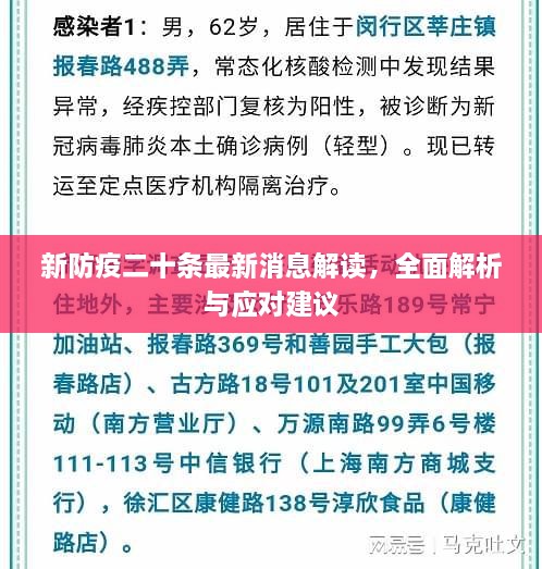 新防疫二十条最新消息解读，全面解析与应对建议