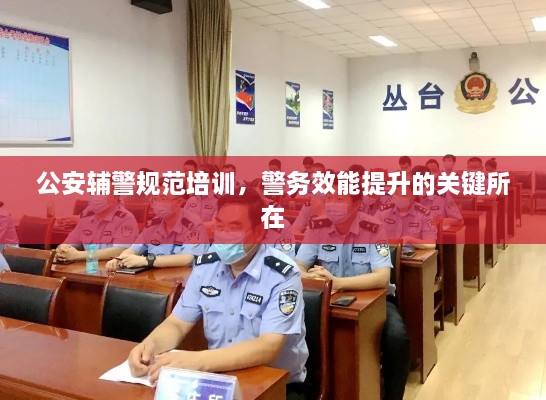 公安辅警规范培训，警务效能提升的关键所在