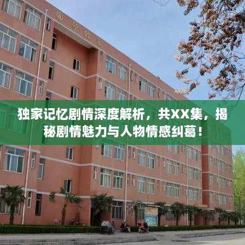 独家记忆剧情深度解析，共XX集，揭秘剧情魅力与人物情感纠葛！