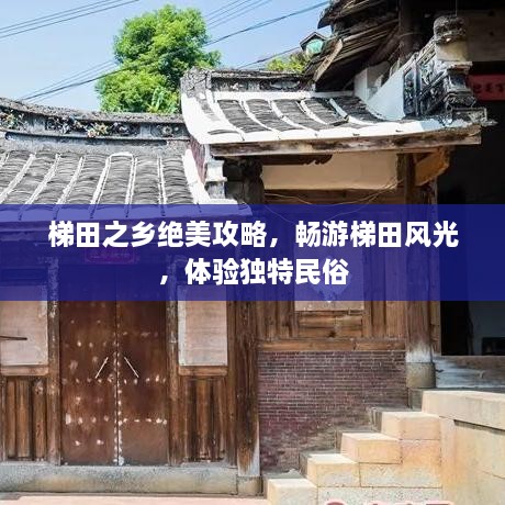 梯田之乡绝美攻略，畅游梯田风光，体验独特民俗