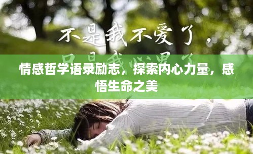 情感哲学语录励志，探索内心力量，感悟生命之美