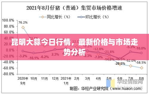 昆明大蒜今日行情，最新价格与市场走势分析