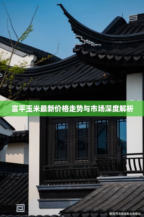 富平玉米最新价格走势与市场深度解析