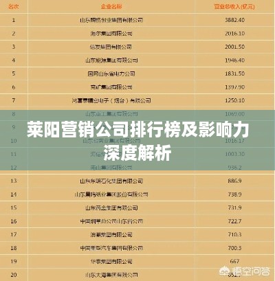 莱阳营销公司排行榜及影响力深度解析