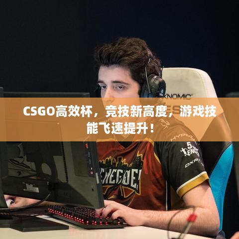 CSGO高效杯，竞技新高度，游戏技能飞速提升！