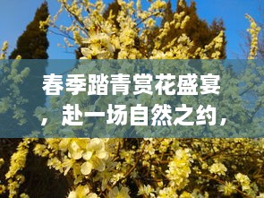 春季踏青赏花盛宴，赴一场自然之约，尽享春光烂漫！