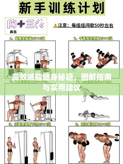 高效减脂健身秘籍，图解指南与实用建议