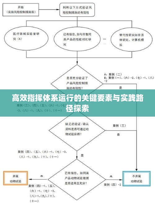 高效指挥体系运行的关键要素与实践路径探索