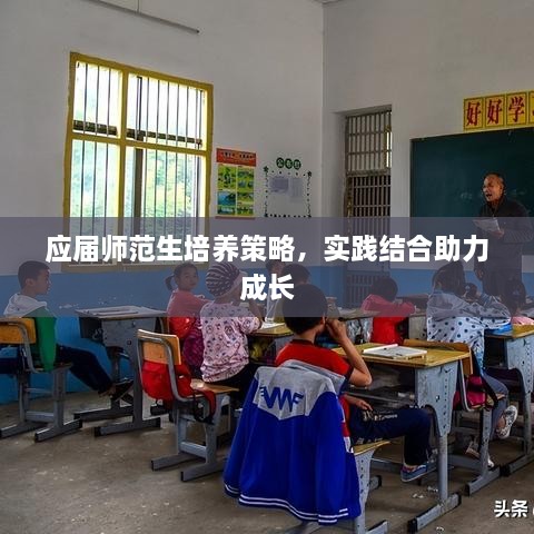 应届师范生培养策略，实践结合助力成长