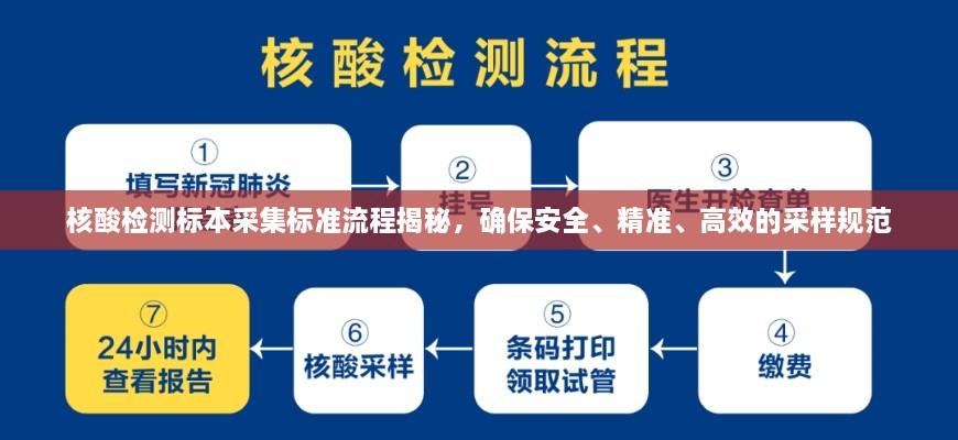 核酸检测标本采集标准流程揭秘，确保安全、精准、高效的采样规范