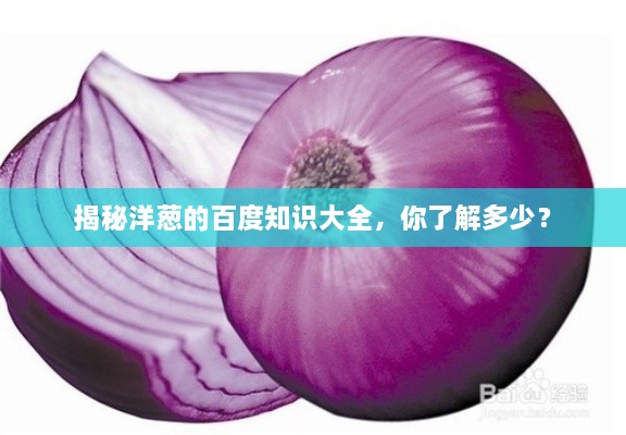 2025年6月9日 第4页