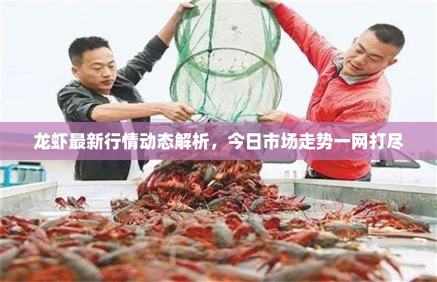 节衣缩食