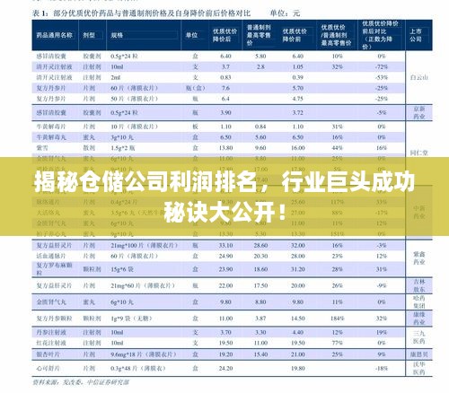 揭秘仓储公司利润排名，行业巨头成功秘诀大公开！