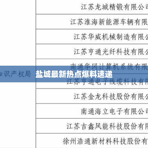 盐城最新热点爆料速递