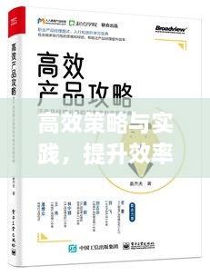 高效策略与实践，提升效率的关键之道