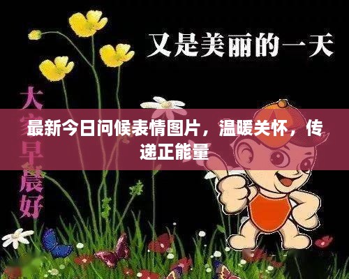 最新今日问候表情图片，温暖关怀，传递正能量