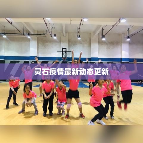 灵石疫情最新动态更新