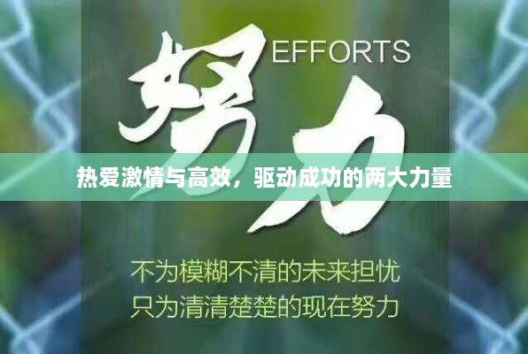 热爱激情与高效，驱动成功的两大力量