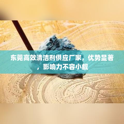 东莞高效清洁剂供应厂家，优势显著，影响力不容小觑