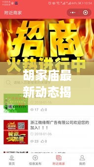 胡家庙最新动态揭秘，今日消息一网打尽