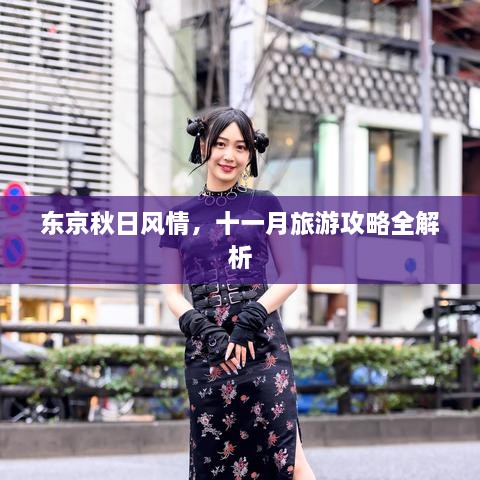 东京秋日风情，十一月旅游攻略全解析